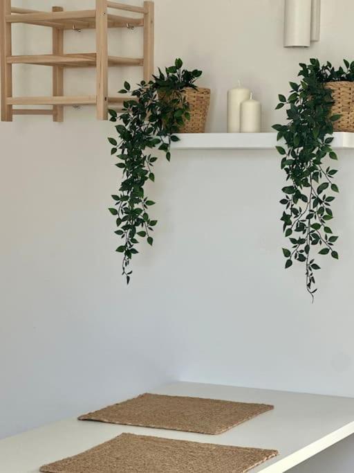 Terrace In Town Apartment Bari